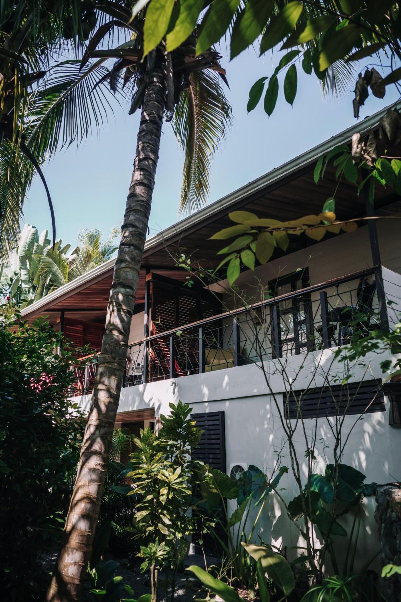 Conga Boutique Hotel Puerto Viejo de Talamanca Exteriör bild