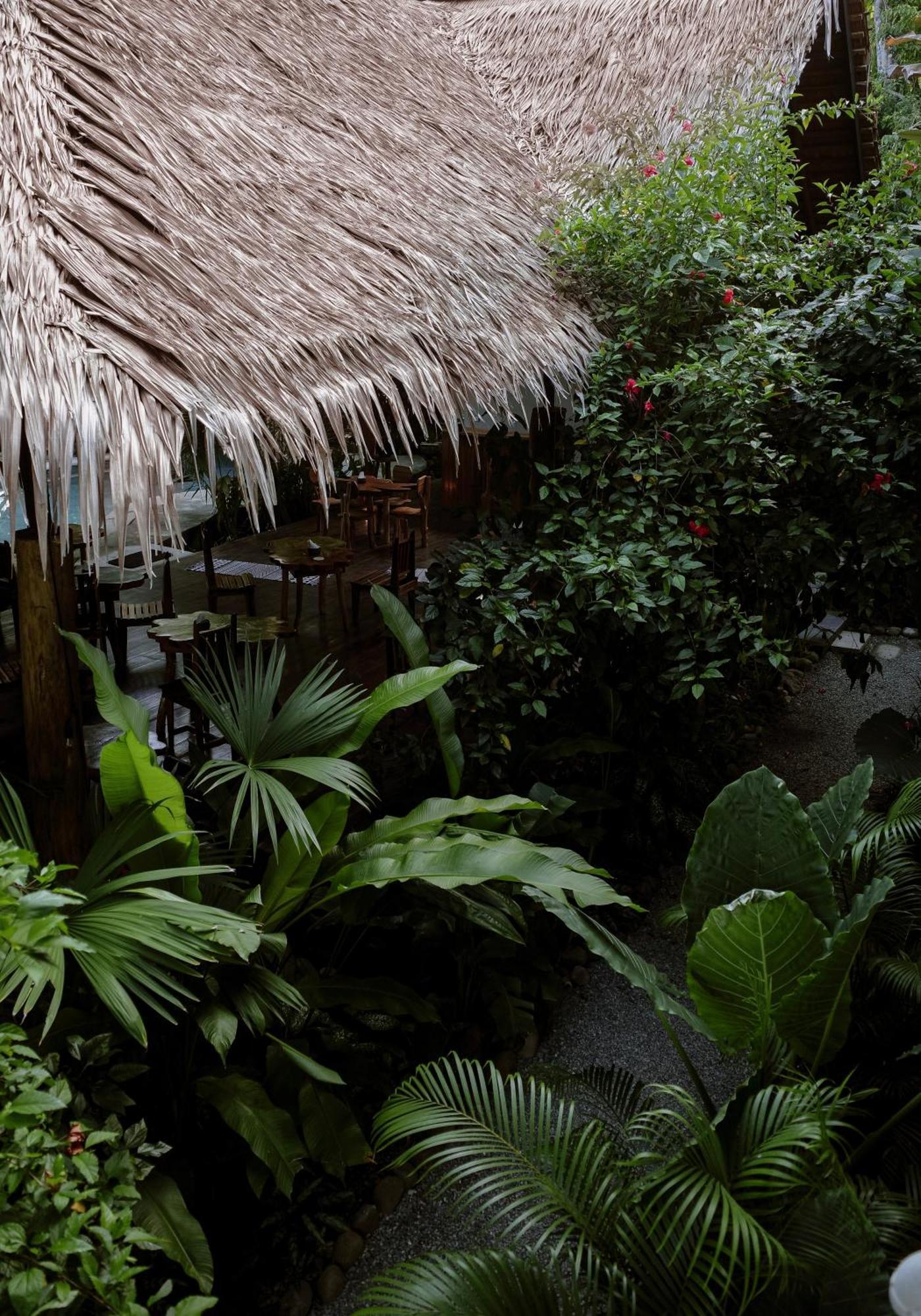 Conga Boutique Hotel Puerto Viejo de Talamanca Exteriör bild