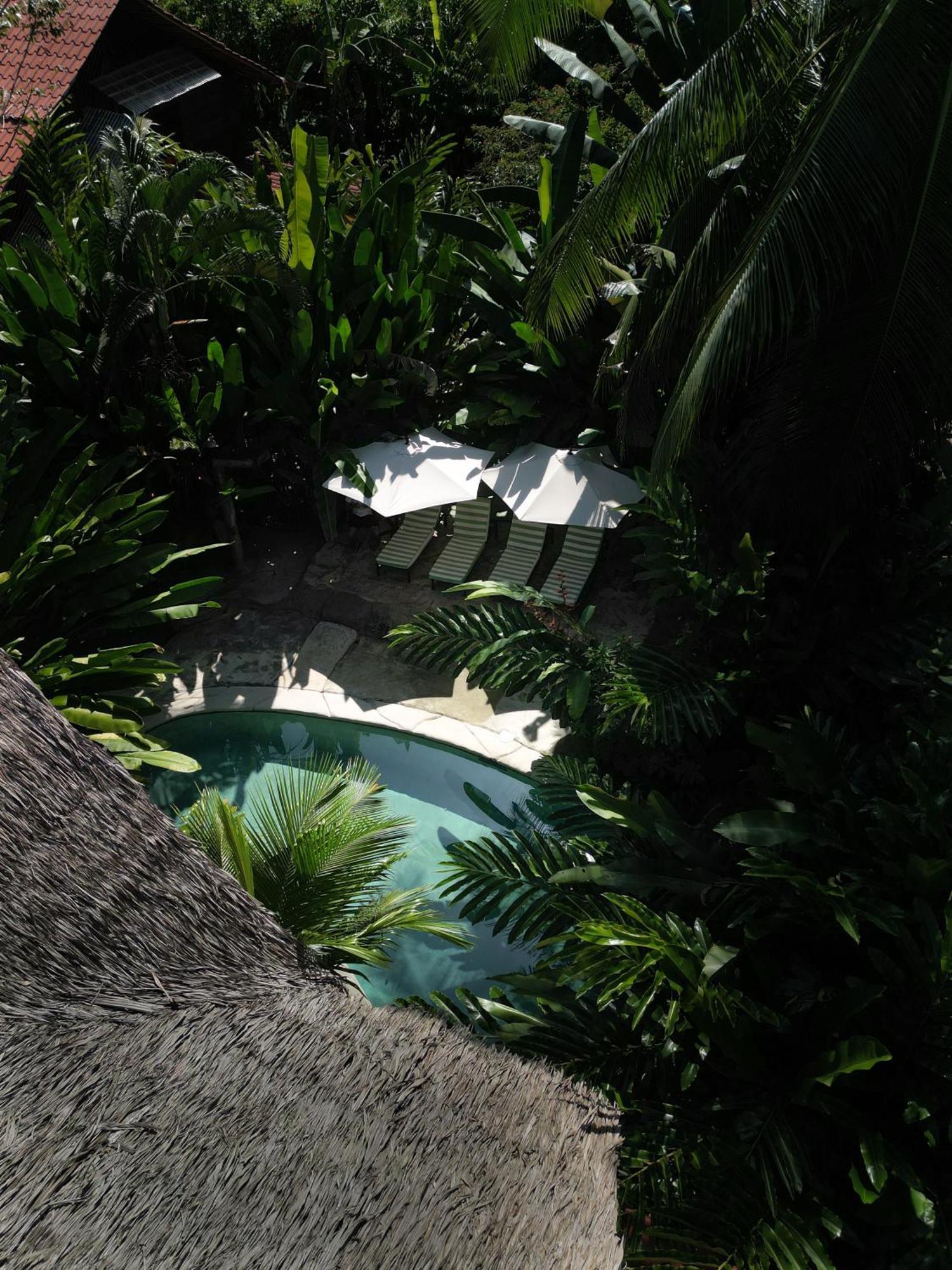 Conga Boutique Hotel Puerto Viejo de Talamanca Exteriör bild